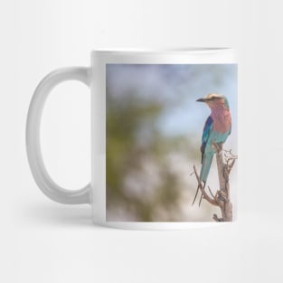 Lilac-breasted Roller - Kruger National Park, South Africa Mug